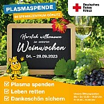 DRK Plasmaspende Görlitz Dresden Weinwochen
