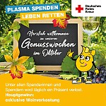 DRK Plasmaspende Görlitz Dresden Weinwochen