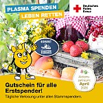 DRK Plasmaspende Dresden Podemus