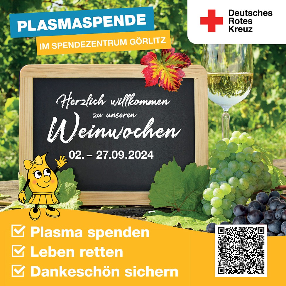 DRK Plasmaspende Dresden Görlitz Weinwochen