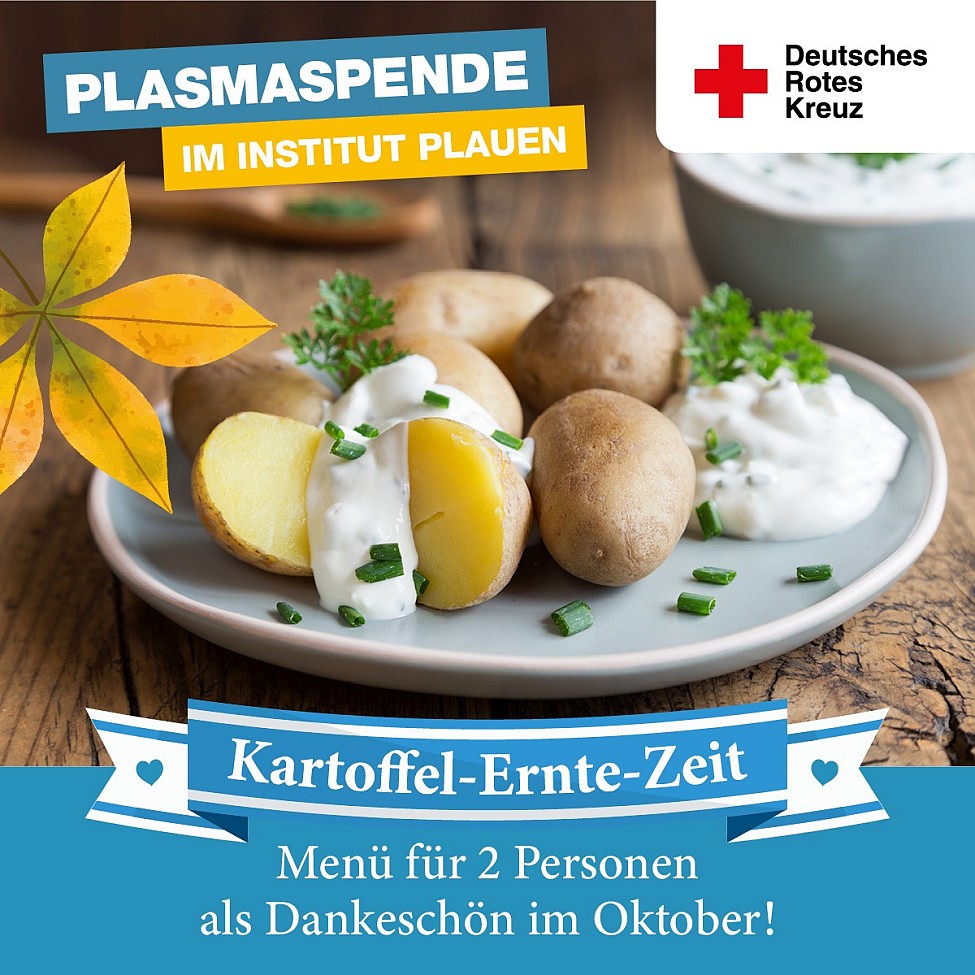 DRK Plasmaspende Plauen Leipzig Oktober Kartoffel