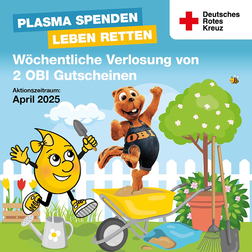DRK Plasmaspende Obi Cottbus