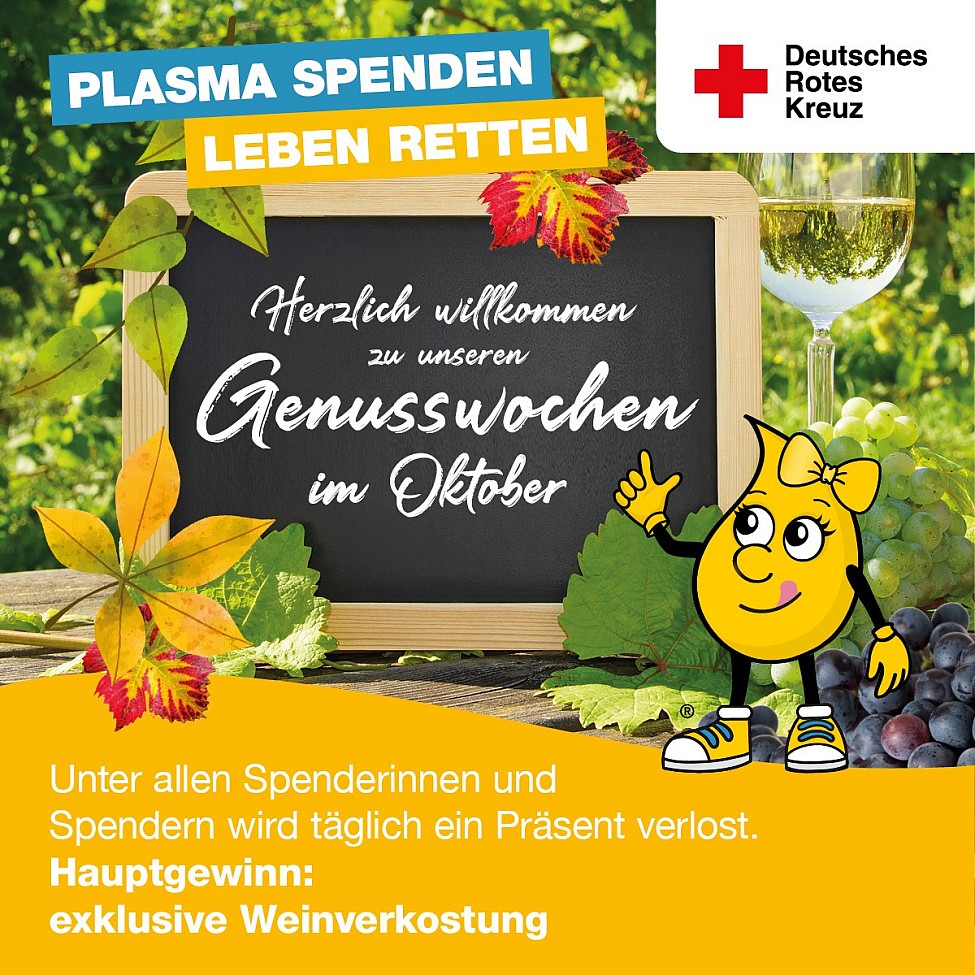 DRK Plasmaspende Görlitz Dresden Weinwochen