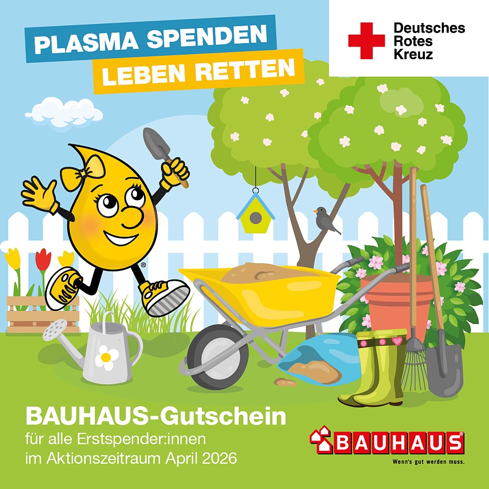 DRK Plasmaspende Plauen 2026 Bauhaus