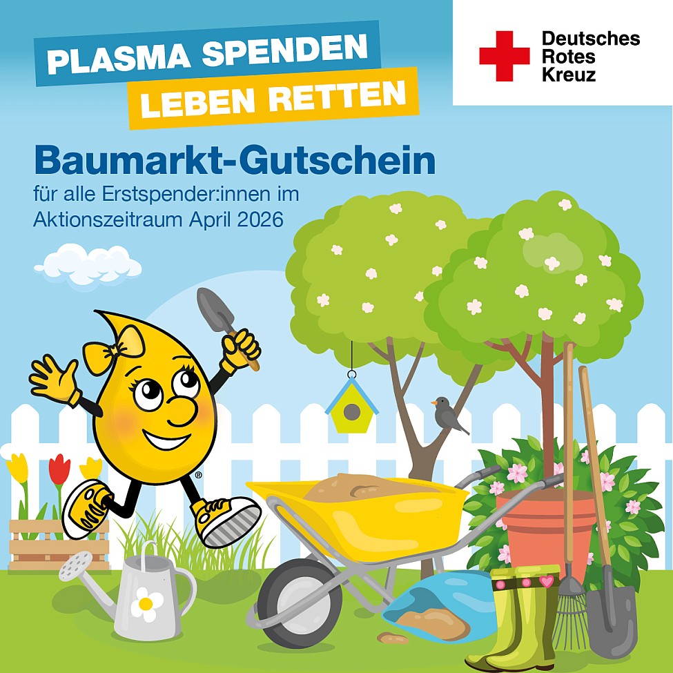 DRK Plasmaspende Potsdam Baumarkt