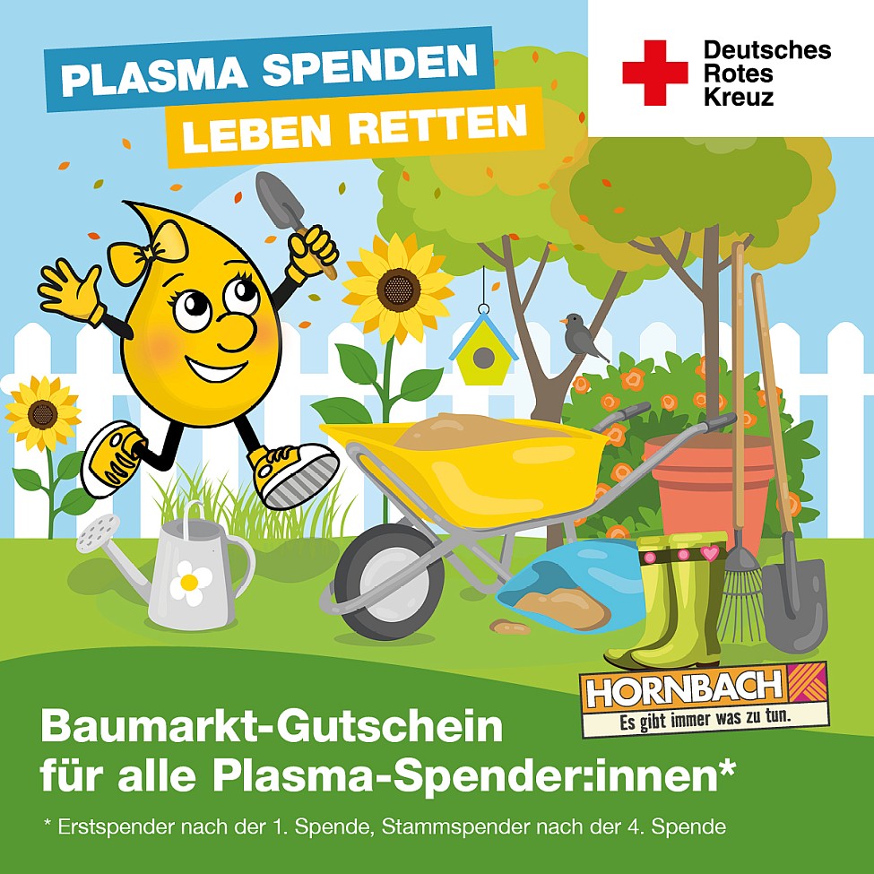 DRK Plasmaspende Hornbach Dresden Görlitza